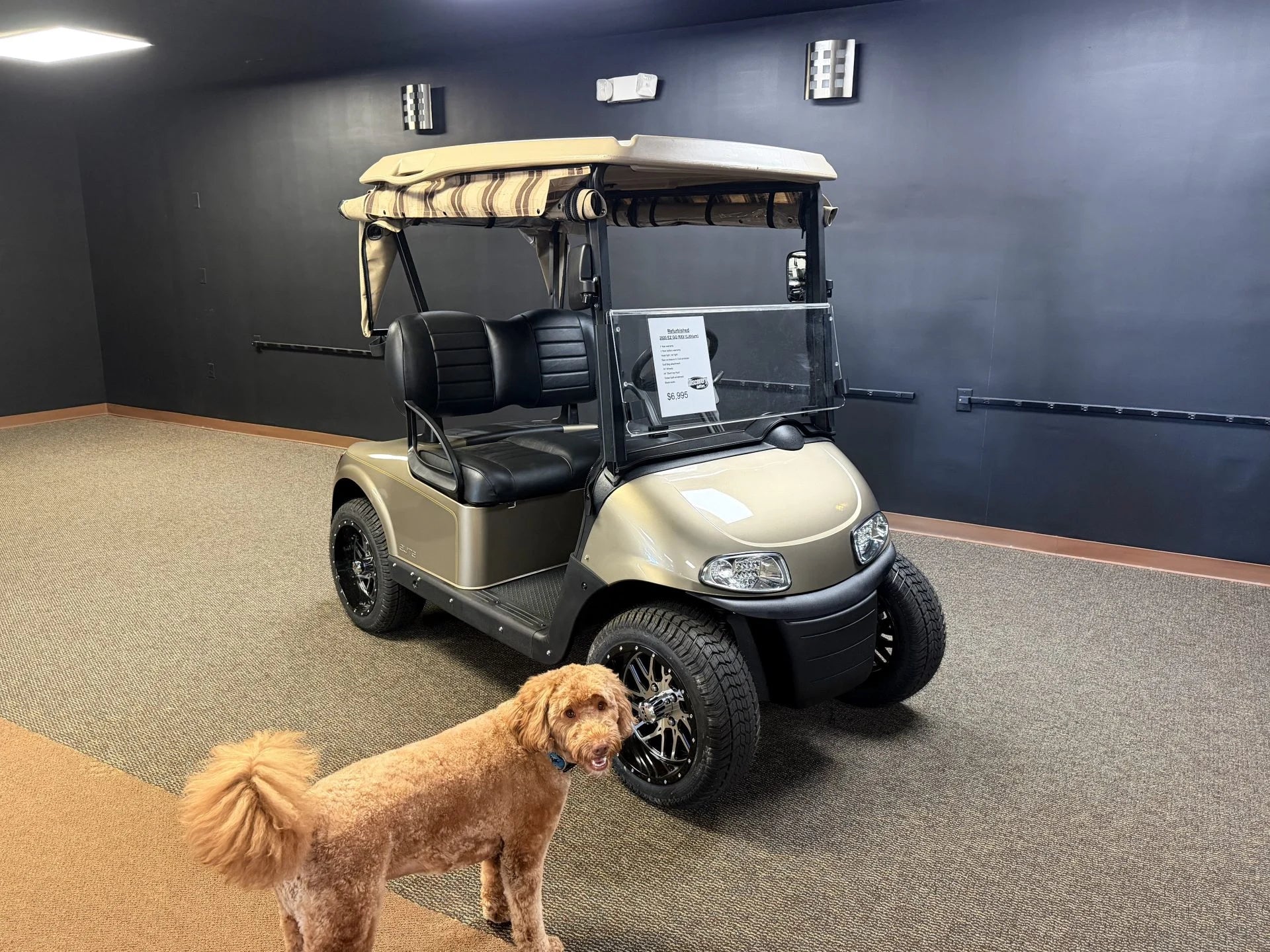 2020 E-Z-GO Lithium RXV Elite Golf Cart for Sale (Almond) image 0