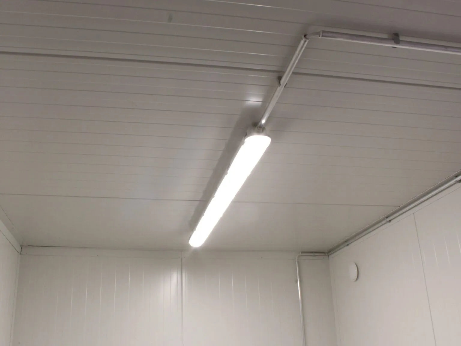 20′ Insulated Container image 4