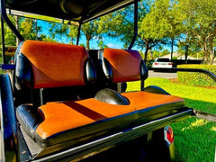 2010 Club Car Precedent Golf Cart for Sale image 2