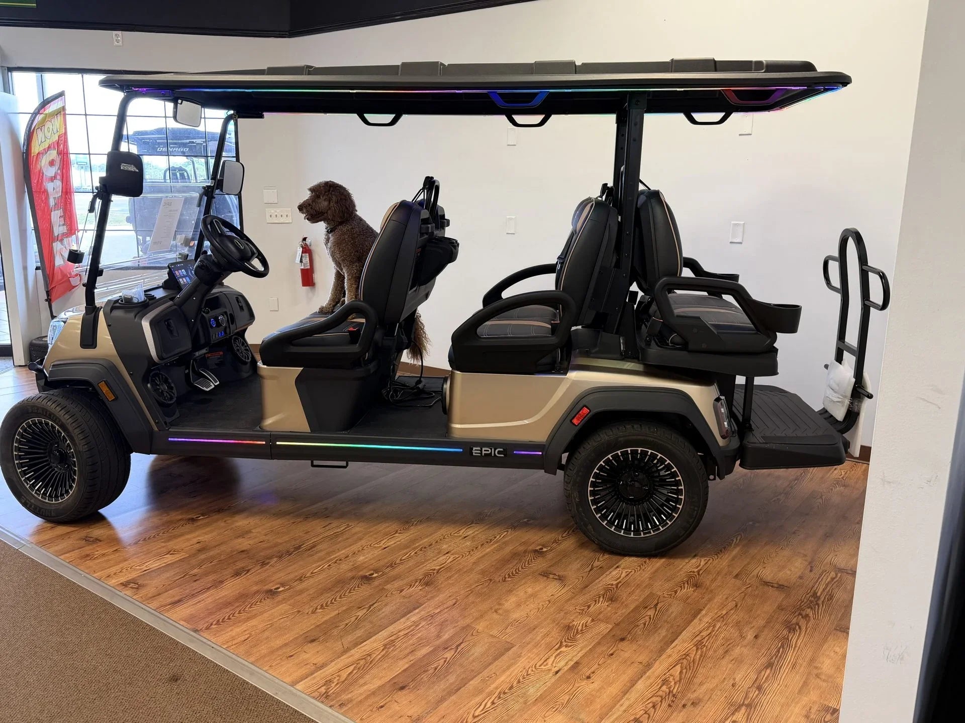 2026 Epic E60FX Champagne Golf Cart for Sale image 3