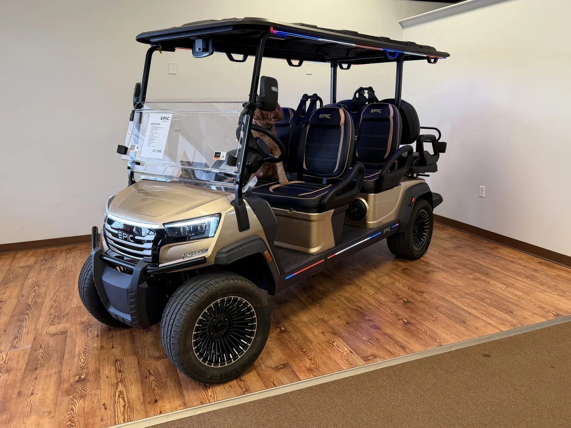 2026 Epic E60FX Champagne Golf Cart for Sale image 0