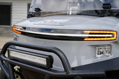 2024 Denago EV Nomad Golf Cart for Sale image 1