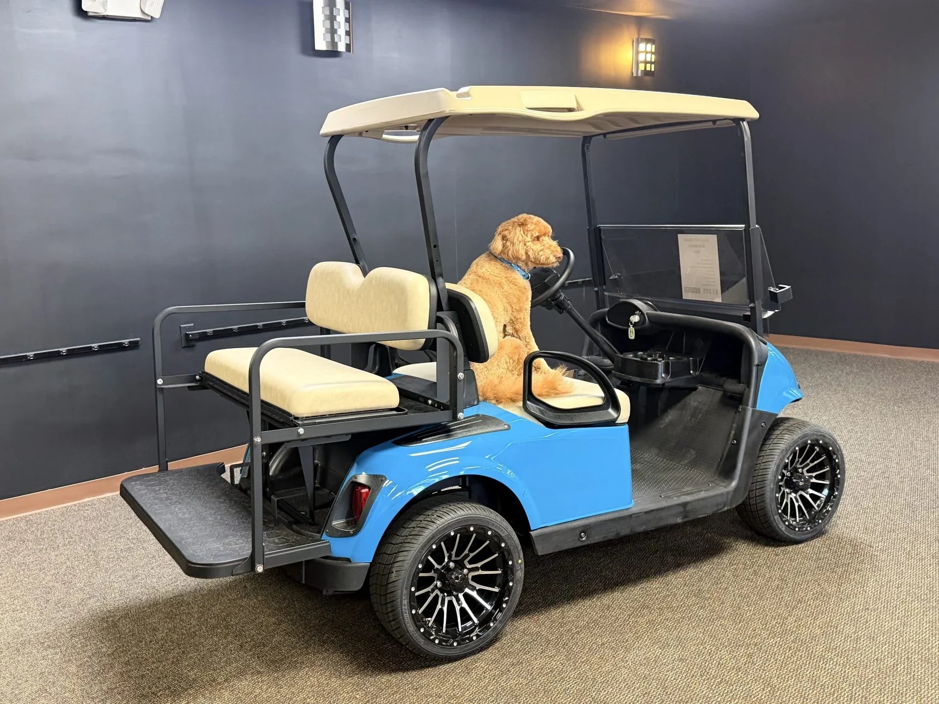 2020 RXV Elite Lithium E-Z-GO Golf Cart for Sale (Blue) image 1