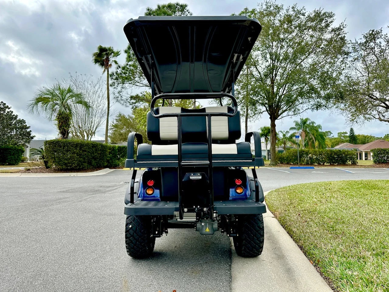 2024 Forester Evolution 4 Plus Golf Cart for Sale image 9