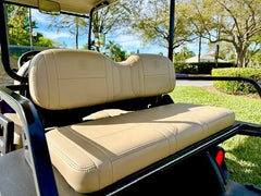 2021 Yamaha Drive 2 QuietTech Golf Cart for Sale image 2