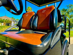 2010 Club Car Precedent Golf Cart for Sale image 1