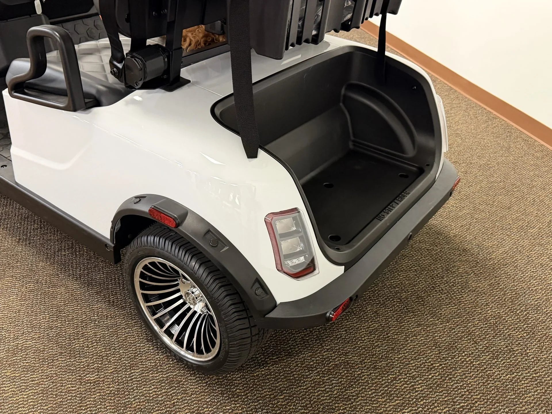 2026 Denago EV Scout 2 Passenger Golf Cart for Sale image 2